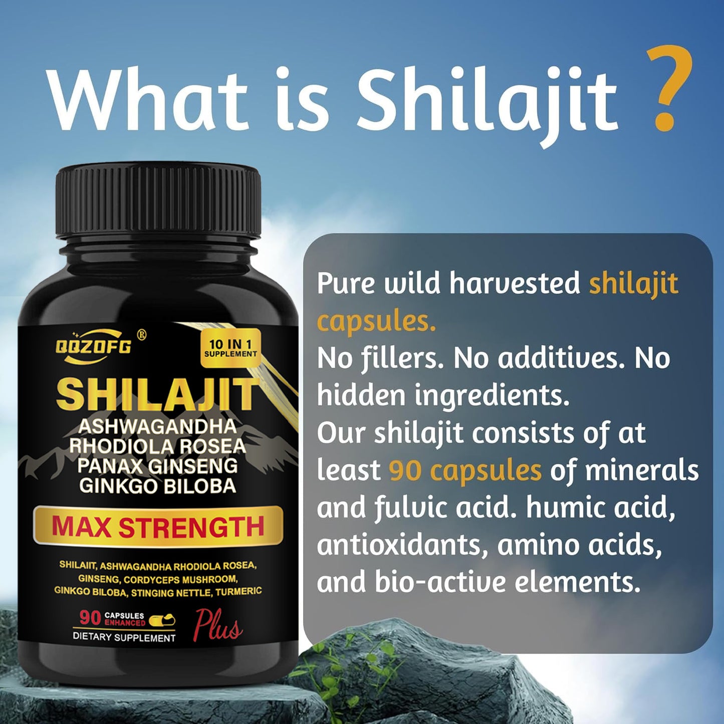 Shilajit Premium 10-in-1 Herbal Supplement - Max Strength Formula